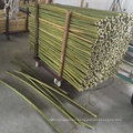 Agricultural Large Garden Dried Bamboo Cane Poles Price Large Raw Bamboo Poles